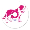 Logo du BDE Polytech Annecy-Chambéry
